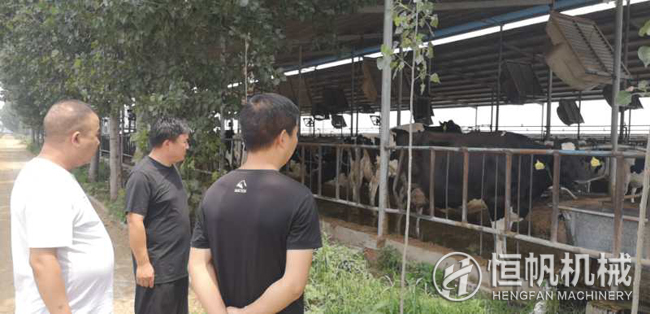 鐘經(jīng)理在客戶的帶領下參觀牛養(yǎng)殖場